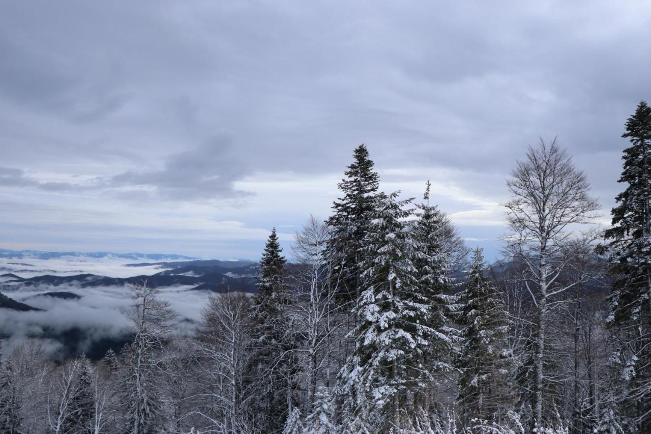Apartmani Vidik - Groodvy House Jahorina Esterno foto